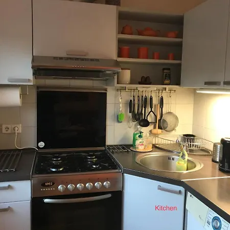 شقة Roman دروسكينينكاي