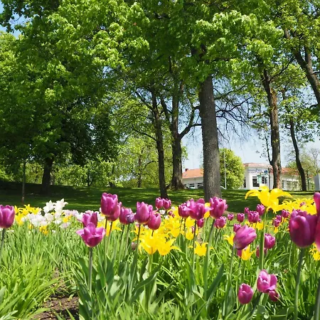 Roman Druskininkai