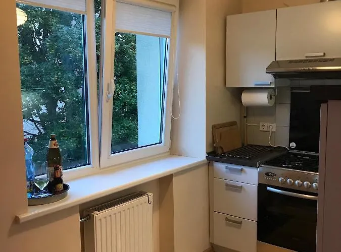 Roman * Druskininkai