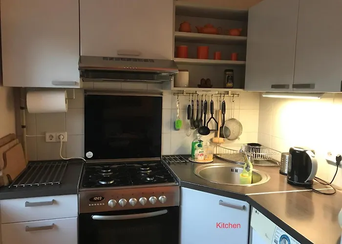 Apartment Roman Druskininkai