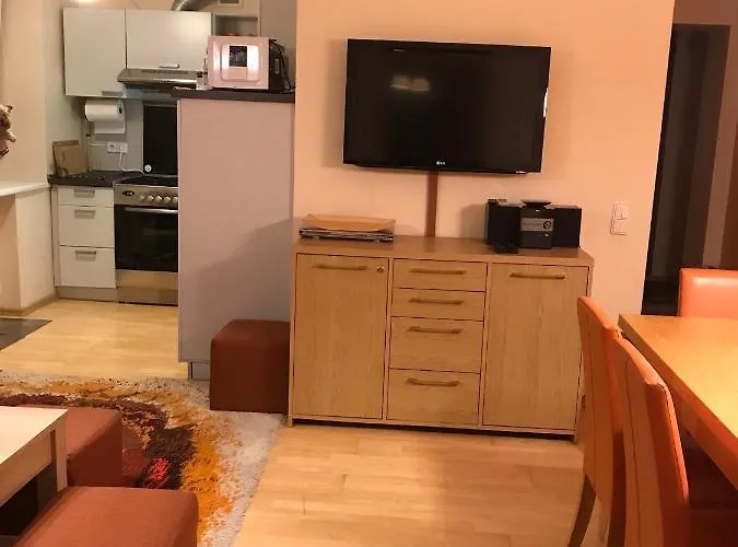 شقة Roman دروسكينينكاي