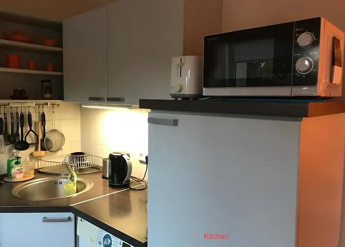 Roman * دروسكينينكاي