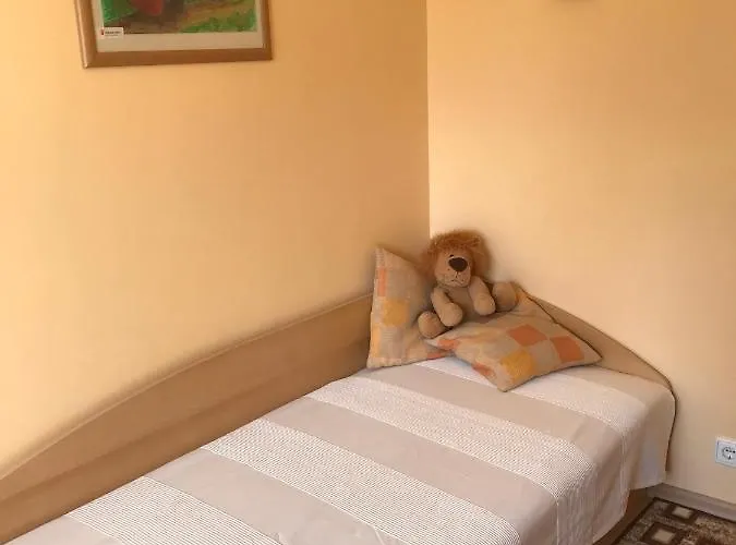 Roman شقة دروسكينينكاي