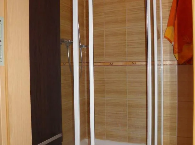 شقة Roman دروسكينينكاي