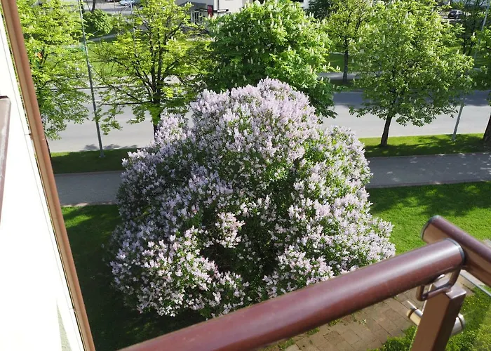 Roman * Druskininkai